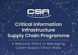 Critical Information Infrastructure Supply Chain Programme Paper